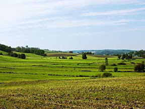Endurecer las penas por robos en el campo